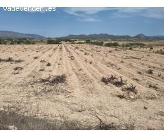 SE VENDE PARCELA EN UBEDA (PINOSO) ALICANTE