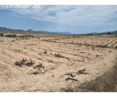SE VENDE PARCELA EN UBEDA (PINOSO) ALICANTE