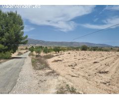 SE VENDE PARCELA EN UBEDA (PINOSO) ALICANTE