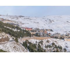 ESTUDIO EN SIERRA NEVADA EN ZONA ALTA