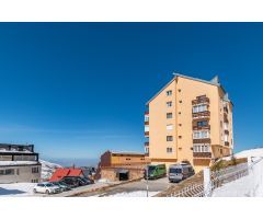ESTUDIO EN SIERRA NEVADA EN ZONA ALTA