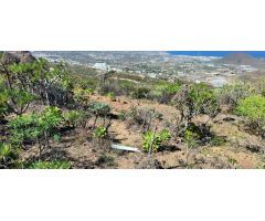 Terreno Guimar