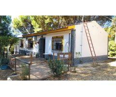 CASA EN ZONA ASSUAN