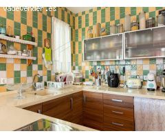 Casa independiente con terraza y local comercial incluido