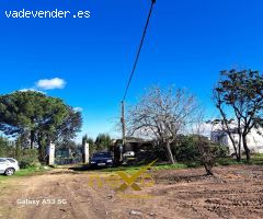 Terreno Rústico en Venta en Los Carmonas, Sevilla