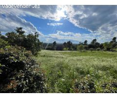 UNO DE LOS MEJORES TERRENOS DE VILOPRIU EN VENTA