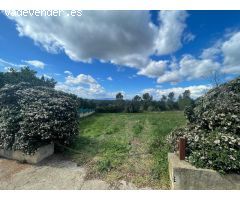 UNO DE LOS MEJORES TERRENOS DE VILOPRIU EN VENTA