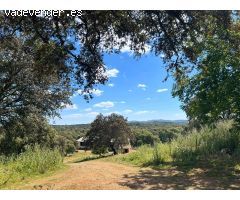 Dehesa Ganadera y Coto de Caza en la Sierra Norte de Sevilla