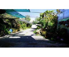 Finca rustica en Venta en Santa Lucia de Tirajana, Las Palmas