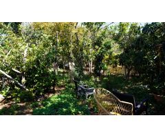 Finca rustica en Venta en Santa Lucia de Tirajana, Las Palmas