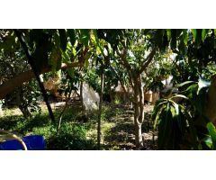 Finca rustica en Venta en Santa Lucia de Tirajana, Las Palmas