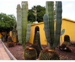 Casa en Venta en Santa Lucia de Tirajana, Las Palmas