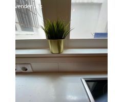 Estudio en Alquiler en Las Palmas de Gran Canaria, Las Palmas