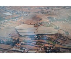 Finca rustica en Venta en Telde, Las Palmas