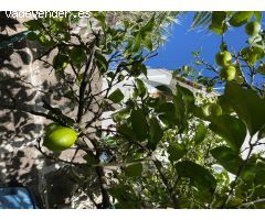 Pareado en Venta en Teror, Las Palmas