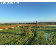 Terreno con proyecto básico en Felanitx.