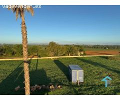 Terreno con proyecto básico en Felanitx.