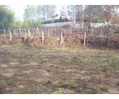 REF 0769 SOLAR   PLANOS 1625 m2 XINZO-PONTEAREAS