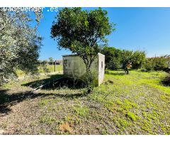 Parcela Exclusiva en Cuevas Bajas: Naturaleza y Tranquilidad a Minutos de Córdoba