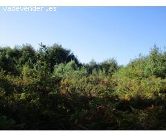 Terreno urbano en Venta en Pontevedra, Pontevedra