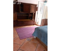 English only Dutch Small apartament 600 euros movil 622880533 (Claudia)