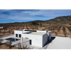 Villa en Venta en Pinoso, Alicante