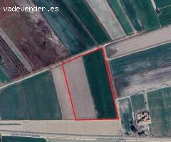 Terreno rural en Venta en Crevillente, Alicante