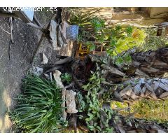 Finca rustica en Alquiler en El Camino de Catral, Alicante
