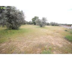 ¡¡¡OPORTUNIDAD, PARCELA DE 3183 m2 EN ESQUINA, EN LA EXCLUSIVA URB. LA SISLA, JUNTO AL VALLE !!!!