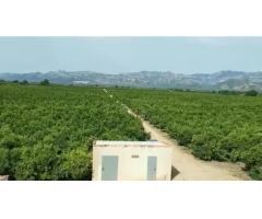 Villa en Venta en Roquetes, Tarragona