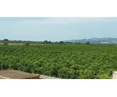 Villa en Venta en Roquetes, Tarragona
