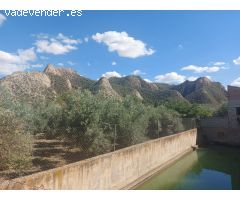 Finca rustica en Venta en Beas de Guadix, Granada