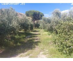 Finca rustica en Venta en Beas de Guadix, Granada