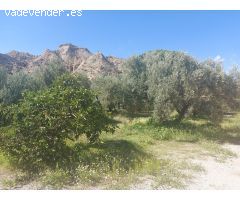 Finca rustica en Venta en Beas de Guadix, Granada