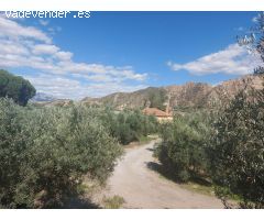 Finca rustica en Venta en Beas de Guadix, Granada