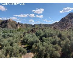 Finca rustica en Venta en Beas de Guadix, Granada