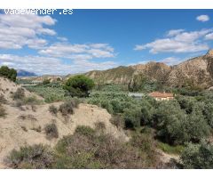 Finca rustica en Venta en Beas de Guadix, Granada