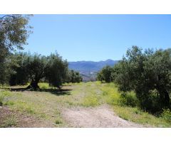 Finca rustica en Venta en Salarzón, Granada