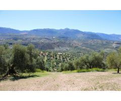 Finca rustica en Venta en Salarzón, Granada