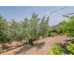 Cortijo en Baza