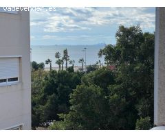 Apartamento en Alquiler en Torrevieja, Alicante