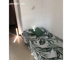 Piso en Alquiler en San Vicente del Raspeig, Alicante