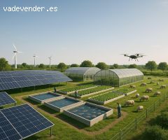SE VENDE UNA HECTÁREA EN SEVILLA CAPITAL