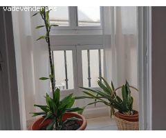 VENTA DE PISO EN CASCO ANTIGUO, CANDELARIA-CATEDRAL