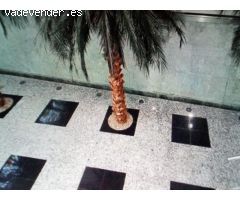 ALQUILER LOCAL EN CADIZ, ZONA AVENIDA-SAN JOSE - PRECIO A CONSULTAR