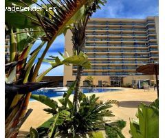 Acogedor Apartamento con vistas a la piscina en Guardamar del Segura