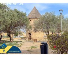 Oferta por tiempo limitado! Amplio estudio en el corazon de Torrevieja con 2 piscinas comunitarias