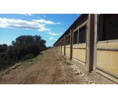 Nave industrial en Venta en Traiguera, Castellón