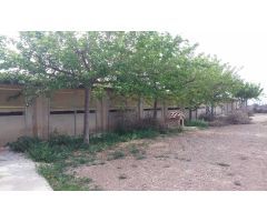 Nave industrial en Venta en Traiguera, Castellón