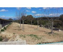 Nave industrial en Venta en Traiguera, Castellón